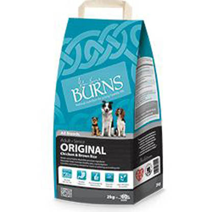 Picture of Burns Canine Original Chicken - 2kg