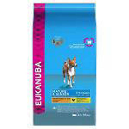 Picture of Eukanuba Mature Medium Breed - 12kg