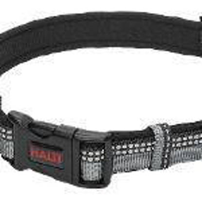 Picture of Halti Collar Black - Medium