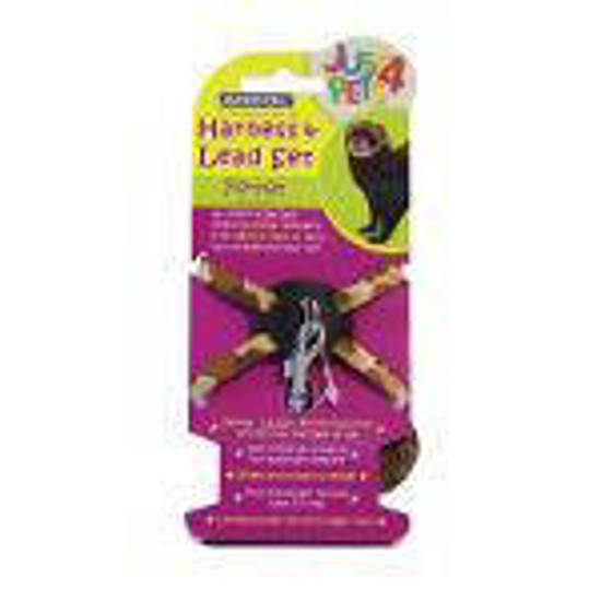 Picture of Just 4 Pets Ferret Harness and Lead Set