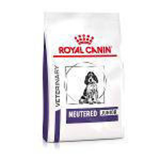 Picture of ROYAL CANIN® Neutered Junior Dry Dog Food 10kg