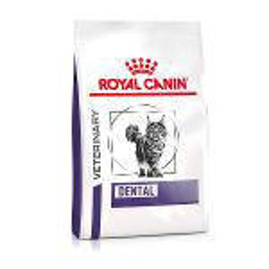 Picture of ROYAL CANIN® Dental Adult Dry Cat Food 1.5kg